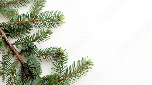 christmas background with christmas branches and decorations