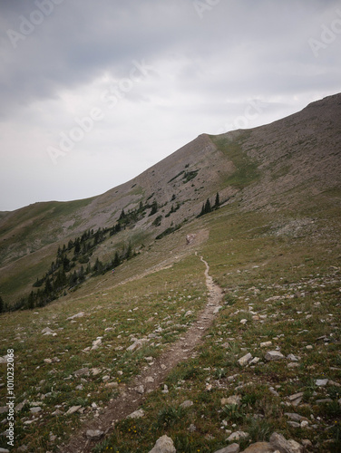 Singletrack in barren tundra in Bridger Mountain range by Bozeman Montana in summer photo