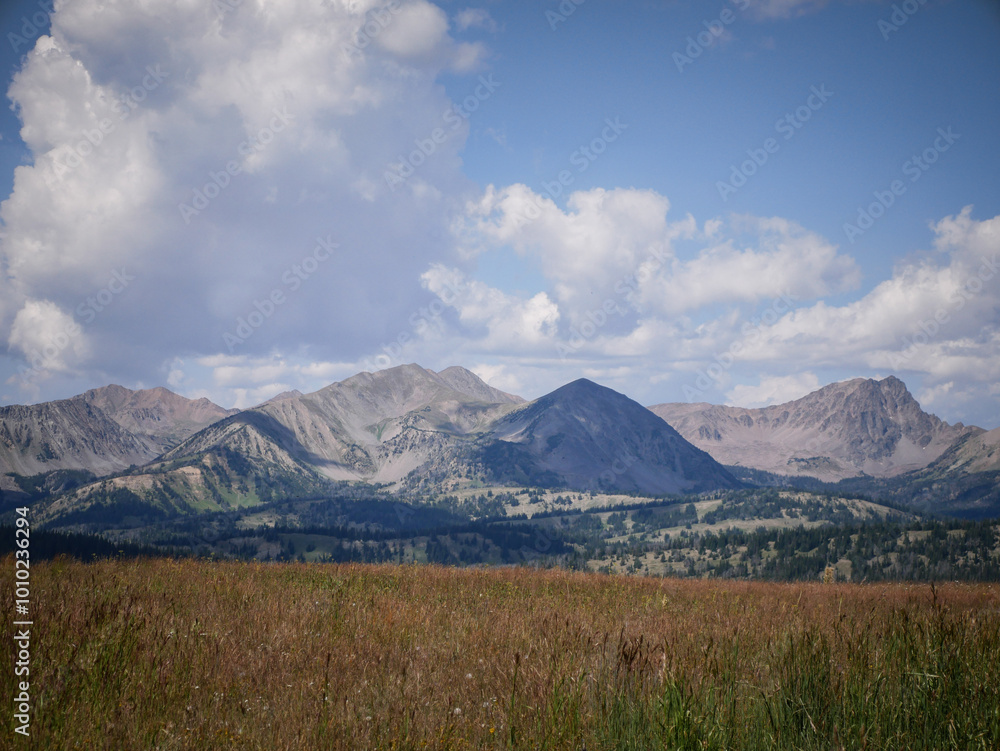 View through grassy meadow of Madison Mountain range peaks by Bozeman Montana in summer with dramatic sky View through grassy meadow of Madison Mountain range peaks by Bozeman Montana in summer with dramatic sky