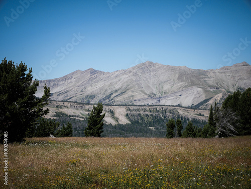 Beautfiul Madison Mountains near Big Sky Montana in summer photo