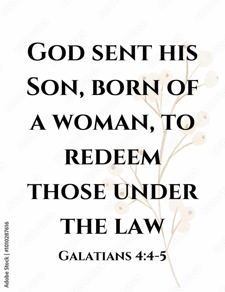 Bible Verses Bible Verses