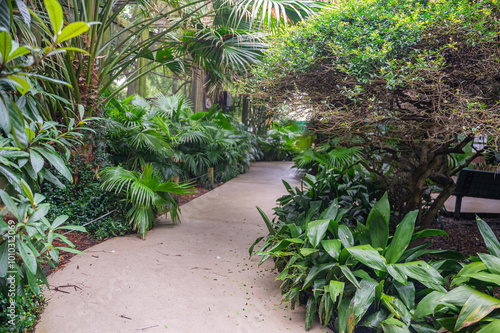The zoo walkway isn’t just a path—it’s an invitation to embrace the wonders of the natural world, Audubon Zoo, New Orleans, Louisiana, United States of America
