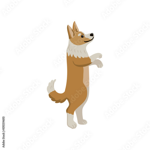 vector drawing cute puppy, little dog, welsh corgi at white background, hand drawn illustration