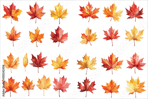 Watercolor autumn leaves, Beautiful autumn leaves, Abstract autumn leaves,  Set of  watercolor autumn leaves. Autumn leaves vector, Colorful autumn leave vector illustration