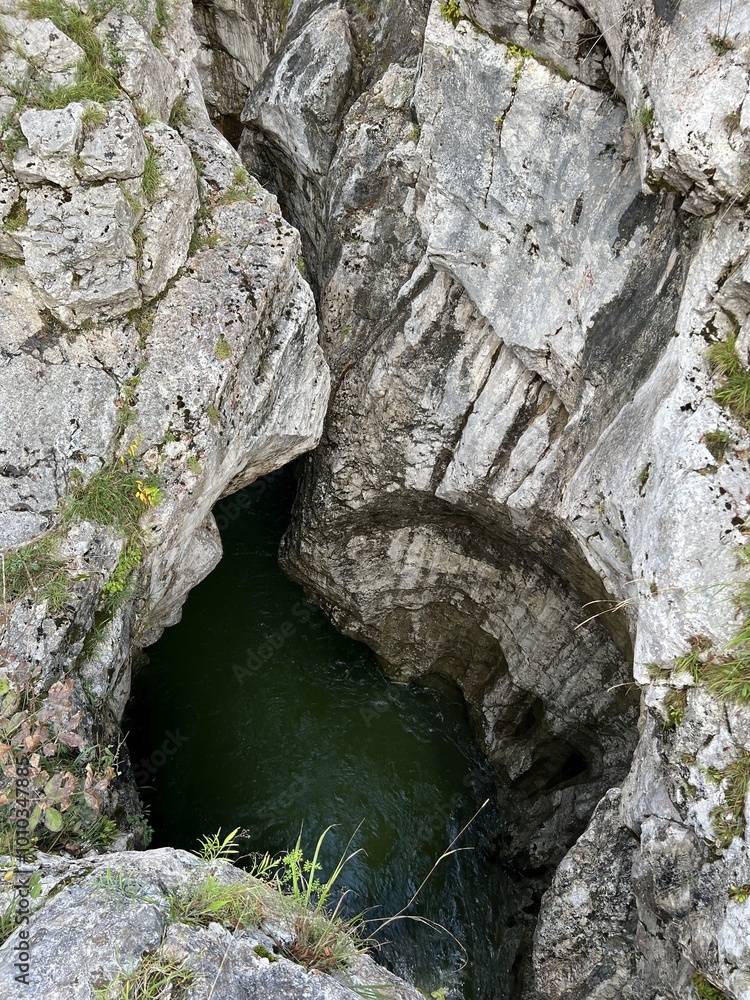 Naklejka premium The Great Soča Gorge (Triglav National Park, Slovenia) - Grosse Soca-Schlucht oder Grosse Soca-Tröge, Nationalpark Triglav (Grosse Soca-Troege, Slowenien) - Velika korita Soče (Triglavski narodni park