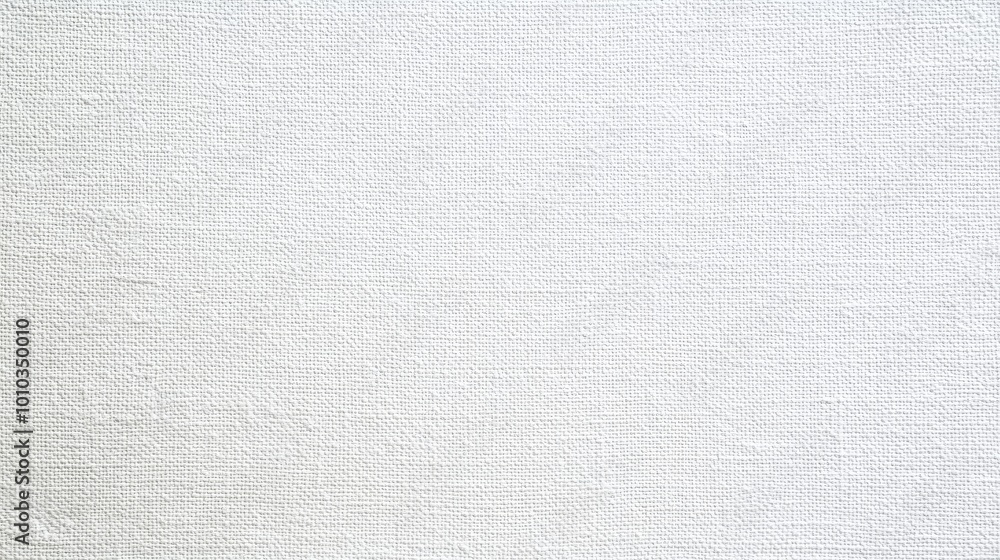 A close-up of a white canvas texture with a slight grain. A close-up of a white canvas texture with a slight grain.