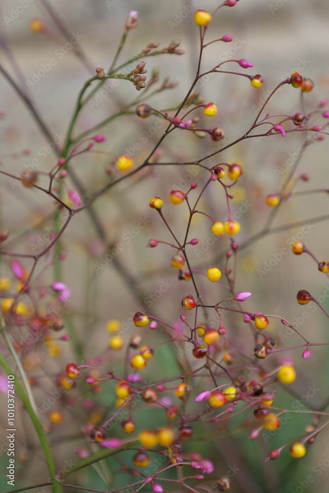 This garden is perfect for many herbal plants and also serves as a biotope for many animals. This garden is perfect for many herbal plants and also serves as a biotope for many animals.