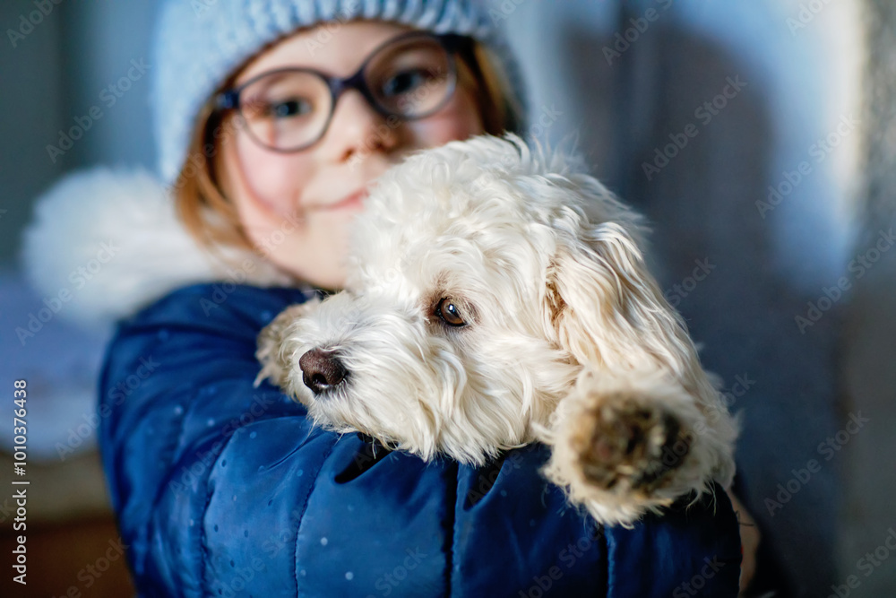 Little girl playing with her pet dog Maltese at home. Happy child holding cute puppy. Love, friendship, family animal. Little girl playing with her pet dog Maltese at home. Happy child holding cute puppy. Love, friendship, family animal.