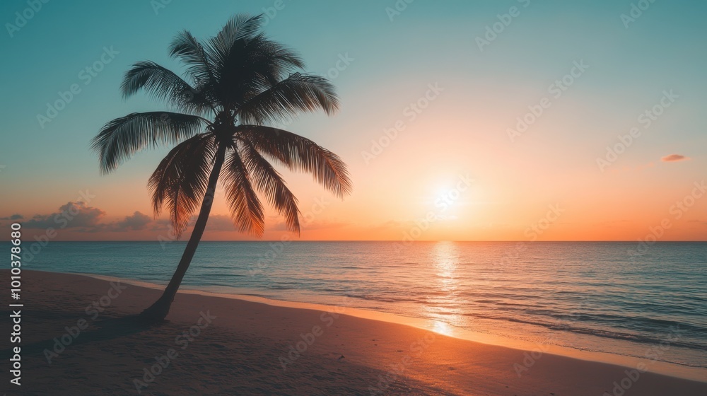 A beach with a single palm tree silhouetted against a setting sun. A beach with a single palm tree silhouetted against a setting sun.