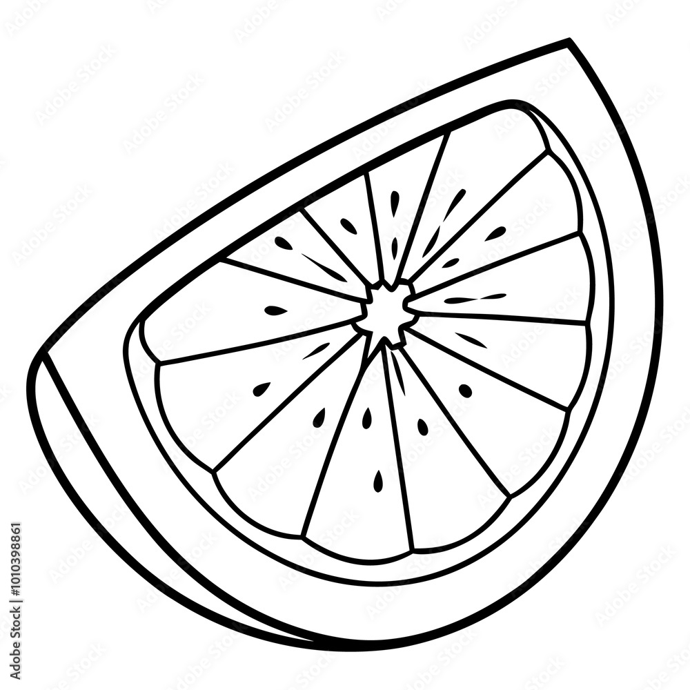 half citrus fruit slice outline coloring book page line art drawing half citrus fruit slice outline coloring book page line art drawing