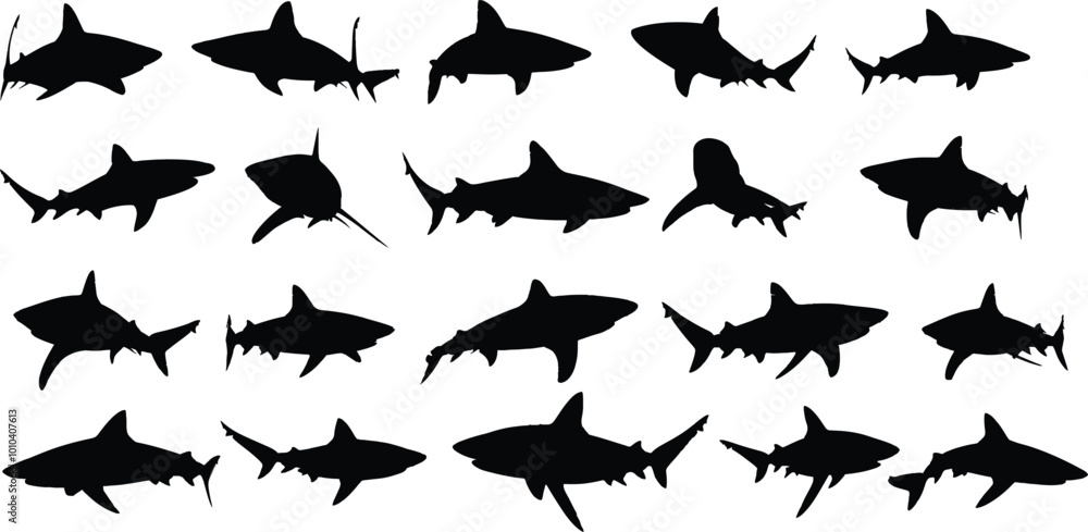 set of silhouettes of shark set of silhouettes of shark