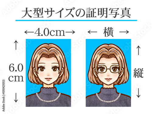 大人女性と大型証明写真サイズのイラスト素材