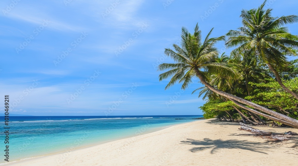 Tropical Beach with Swaying Palm Trees Under Blue Sky Tropical Beach with Swaying Palm Trees Under Blue Sky