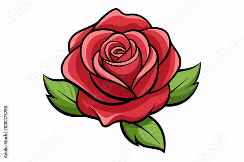 red rose isolated on white