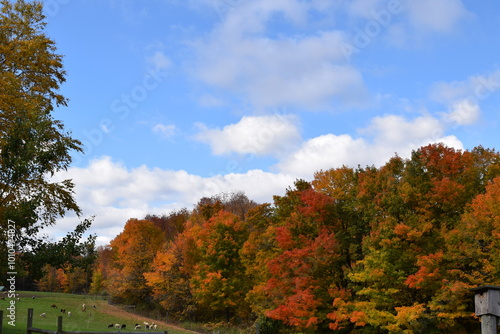 Fall in New England. The Horizons