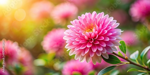 Extreme close-up of pink flowers with soft focus abstract background