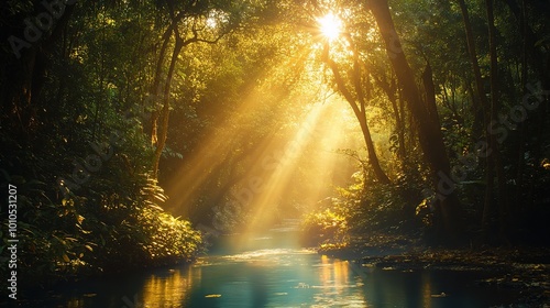 Serene Sunlight Through Dense Forest Canopy photo