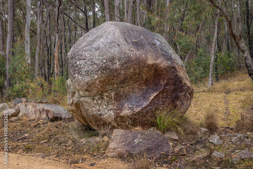 A massive, rounded granite boulder on the side of the road with a forest of trees in the background at Girraween National Park in the granite belt in Queensland, Australia. photo