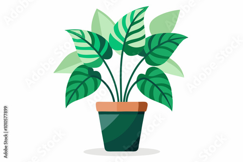 Cute Plant tub vector illustration