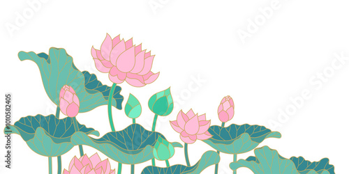 lotus flowers and leaves flat outline design