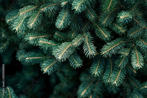 Fir or pine christmas and new year holiday green backdrop with generative ai