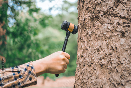 A male hand holds a hammer, symbolizing the enforcement of tree conservation laws. This highlights the importance of environmental laws in protecting nature,conserving trees,combating global warming