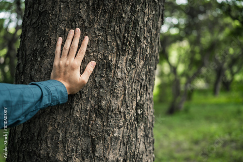 A male hand hugs a tree, symbolizing love for nature and the environment. This act represents the importance of trees in preventing global warming and restoring environmental balance, as seen