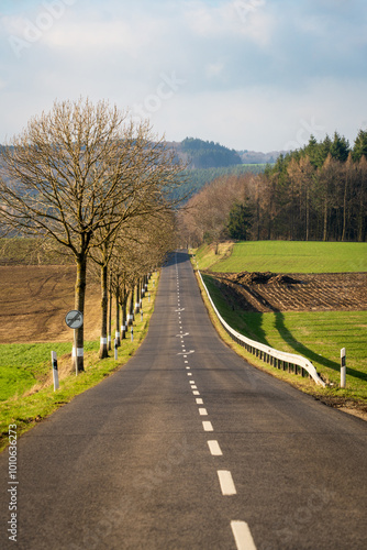 The Battle of the Bulge, Tank Battle Site in Clervaux, Luxemburg photo