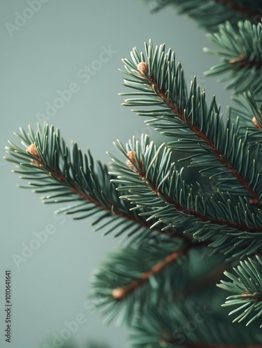 Part of Christmas tree branch witout decorations on the right, white background, cosy interion, closeup look with generative ai photo