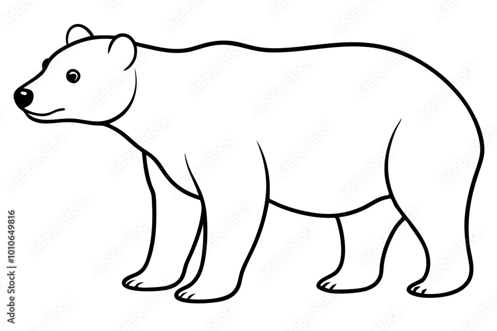 polar bear illustration polar bear illustration