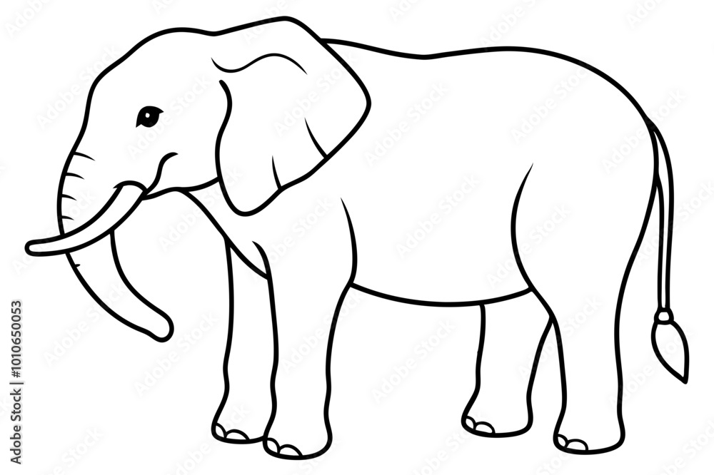 elephant cartoon isolated on white elephant cartoon isolated on white