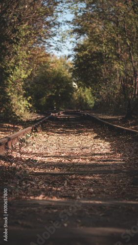 Railway tracks in the park area of ​​autumn Kharkov