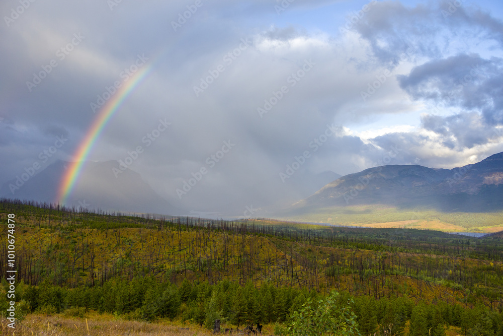 A rainbow at sunrise in Glacier National Park A rainbow at sunrise in Glacier National Park