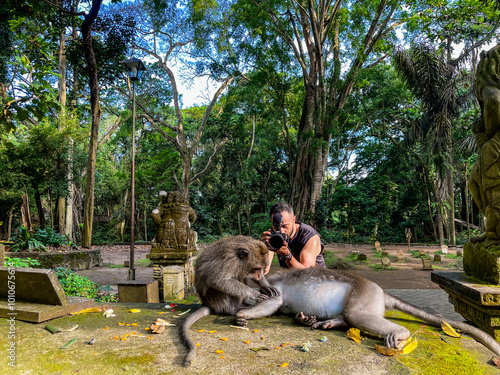 Photography Young male photographer taking photo for two monkeys at monkey forest Bali, Indo