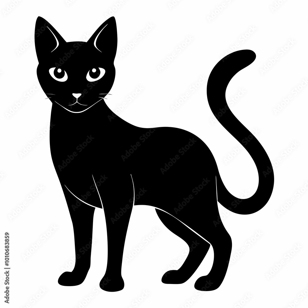 black cat black cat