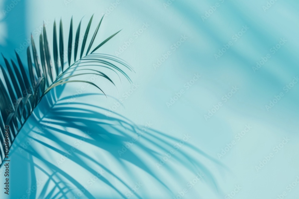 Obraz premium A soothing light blue wall subtly enhances the beauty of blurred palm leaf shadows, evoking the serene essence of spring and summer in a minimalist setting.