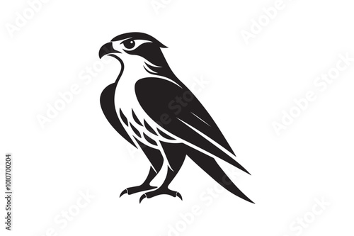 Falcon Silhouette vector illustration, Falcon Silhouette vector 