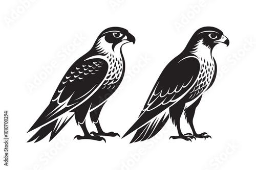 Falcon Silhouette vector illustration, Falcon Silhouette vector 