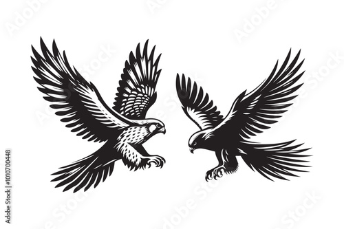 Falcon Silhouette vector illustration, Falcon Silhouette vector  photo