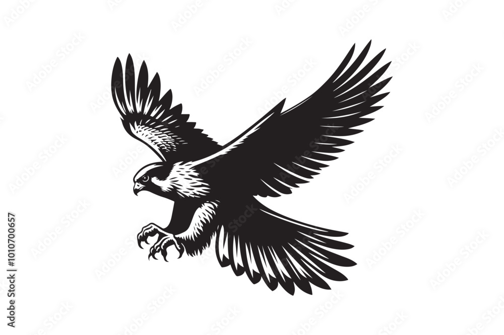Obraz premium Falcon Silhouette vector illustration, Falcon Silhouette vector