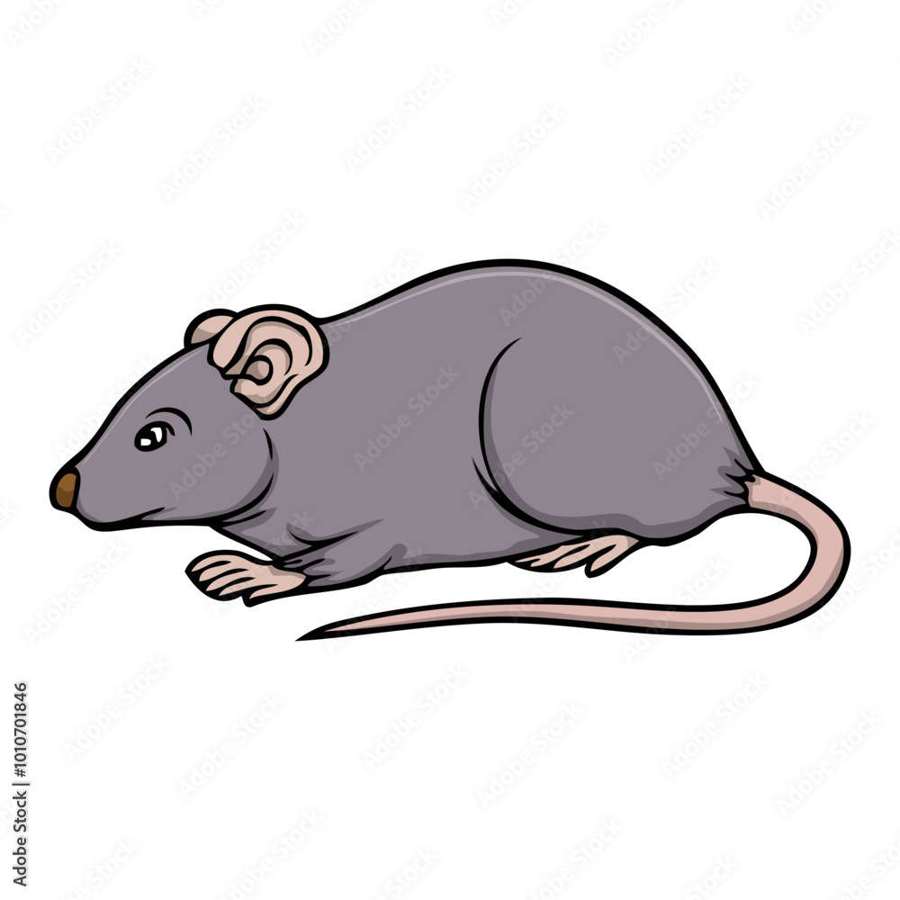 mouse vector illustration mouse vector illustration