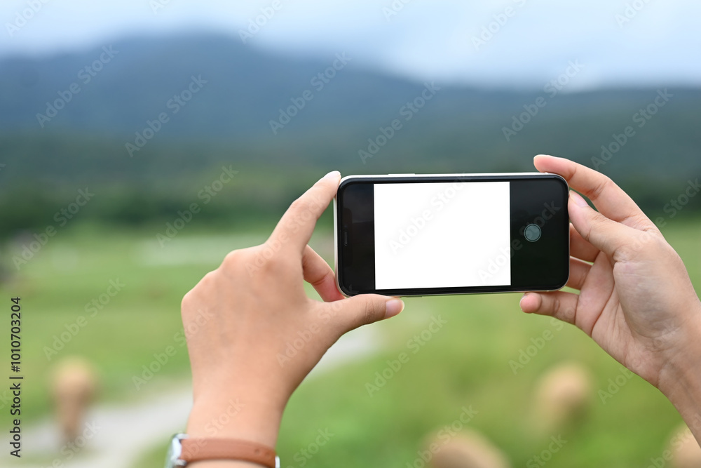 Woman holding a smartphone taking a picture of scenic landscape with mountains in the background. Woman holding a smartphone taking a picture of scenic landscape with mountains in the background.