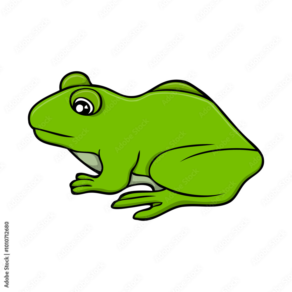 frog vector illustration frog vector illustration