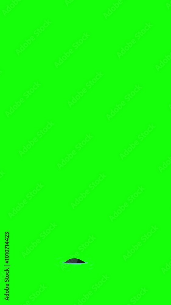 A snake emerges from the water chroma key animation vertical video A snake emerges from the water chroma key animation vertical video