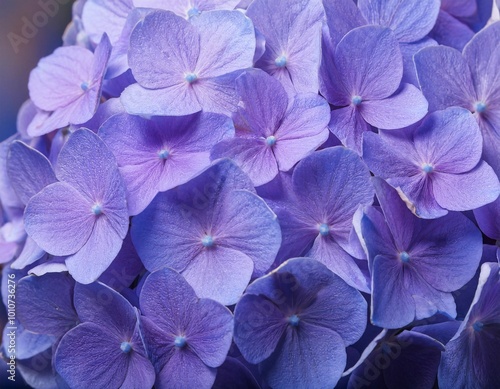 A close-up of a beautiful hydrangea flower, showing the charming details of the petals and rich colors. generative ai