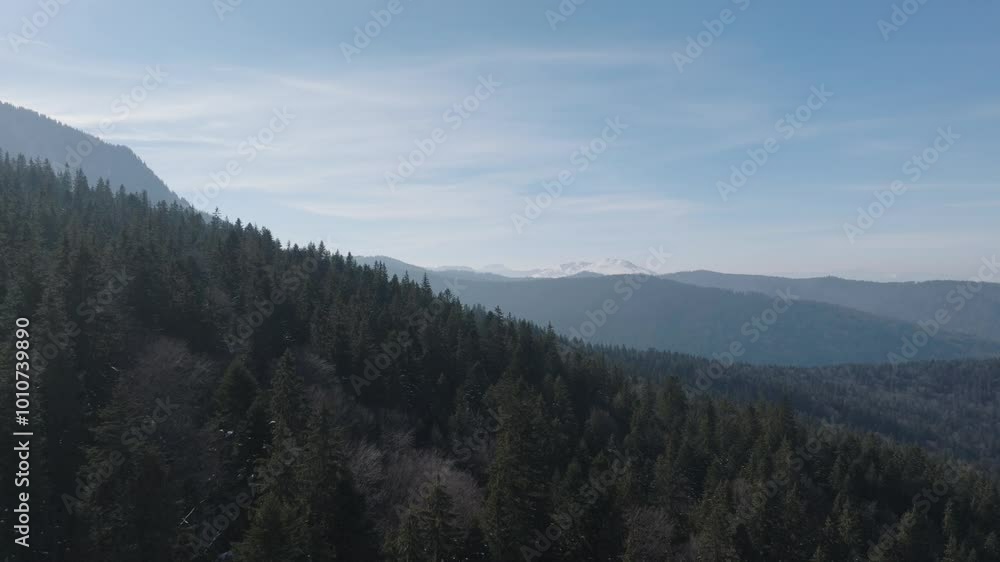 A vast forested mountain landscape with snow-capped peaks in the distance, aerial view A vast forested mountain landscape with snow-capped peaks in the distance, aerial view