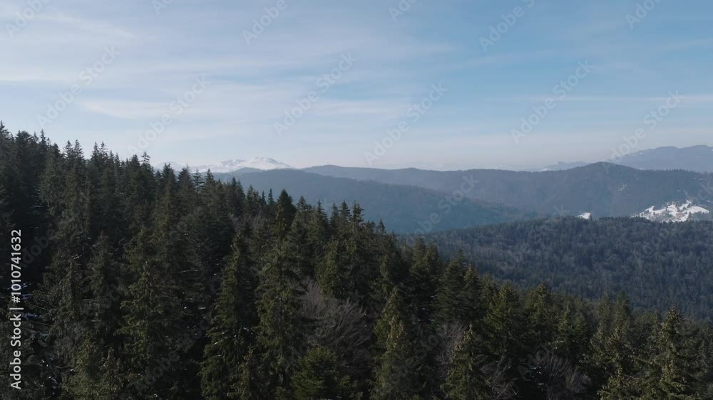 Dense forest and snow-capped mountains on a clear day under blue skies, aerial view Dense forest and snow-capped mountains on a clear day under blue skies, aerial view