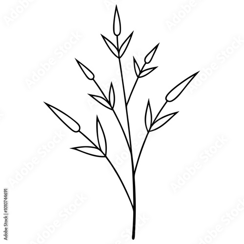 Artistic Vector Representation of a Sprig of Flowering Bamboo for Nature Lovers 