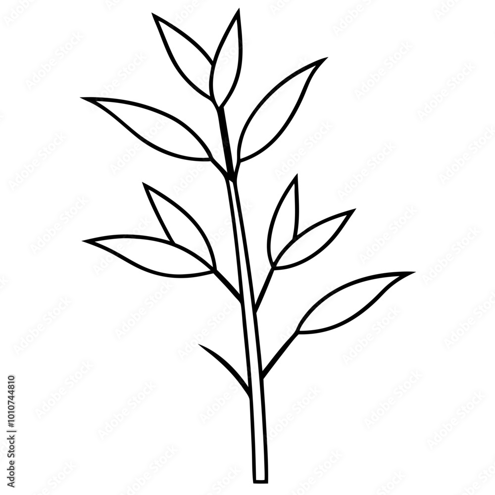 Vector Illustration of a Sprig of Flowering Bamboo with Delicate Blossoms
Vector Illustration of a Sprig of Flowering Bamboo with Delicate Blossoms