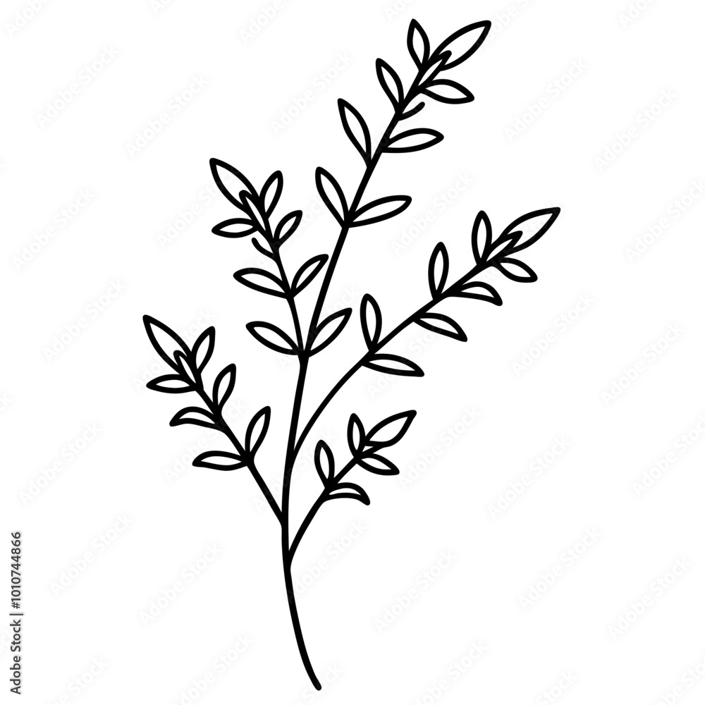 Thyme Herb Sprig with Tiny Clustered Leaves Vector Illustration Perfect for Nature Inspired Designs
Thyme Herb Sprig with Tiny Clustered Leaves Vector Illustration Perfect for Nature Inspired Designs